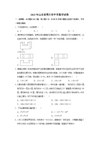 2023年山东省枣庄市中考数学试卷