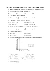 2022-2023学年山东省日照市岚山区八年级（下）期末数学试卷（含解析）