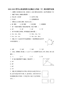 2022-2023学年山东省菏泽市定陶区七年级（下）期末数学试卷（含解析）