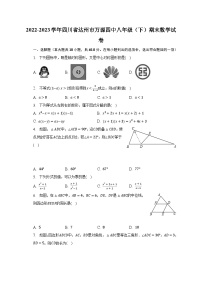 2022-2023学年四川省达州市万源四中八年级（下）期末数学试卷（含解析）