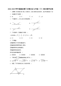 2022-2023学年福建省厦门市翔安区七年级（下）期末数学试卷（含解析）