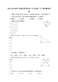 2022-2023学年广东省云浮市罗定一中九年级（下）期中数学试卷（含解析）