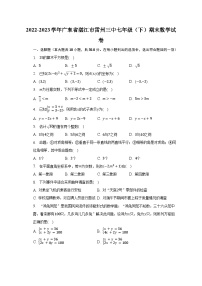 2022-2023学年广东省湛江市雷州三中七年级（下）期末数学试卷（含解析）