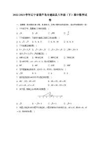 2022-2023学年辽宁省葫芦岛市建昌县八年级（下）期中数学试卷（含解析）