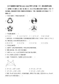 辽宁省朝阳市建平县2021-2022学年七年级下学期期末数学试题(解析版)