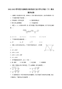 四川省南充市西充县天宝中学2022-2023学年七年级下学期期末数学试卷（含答案）