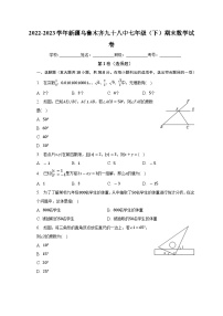 新疆维吾尔自治区乌鲁木齐市米东区乌鲁木齐市第九十八中学2022-2023学年七年级下学期期末数学试卷（含答案）