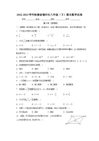 海南省儋州市2022-2023学年八年级下学期期末数学试卷（含答案）