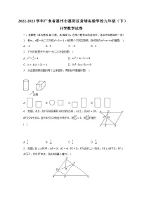 2022-2023学年广东省惠州市惠阳区黄埔实验学校九年级（下）开学数学试卷（含解析）