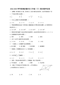 2022-2023学年海南省儋州市八年级（下）期末数学试卷（含解析）