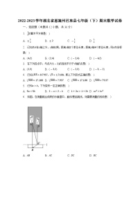 2022-2023学年湖北省恩施州巴东县七年级（下）期末数学试卷（含解析）