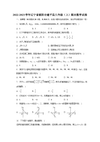 2022-2023学年辽宁省朝阳市建平县八年级（上）期末数学试卷（含解析）