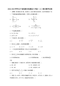 2022-2023学年辽宁省抚顺市抚顺县八年级（上）期末数学试卷（含解析）