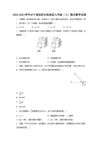 2022-2023学年辽宁省沈阳市法库县九年级（上）期末数学试卷（含解析）