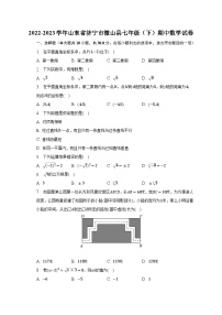 2022-2023学年山东省济宁市微山县七年级（下）期中数学试卷（含解析）