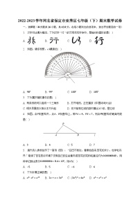 2022-2023学年河北省保定市竞秀区七年级（下）期末数学试卷（含解析）