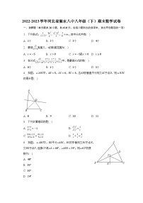 2022-2023学年河北省衡水八中八年级（下）期末数学试卷（含解析）