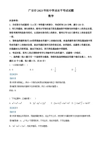 2023年四川省广安市中考数学真题（含解析）