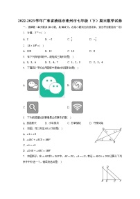 2022-2023学年广东省清远市连州市七年级（下）期末数学试卷（含解析）