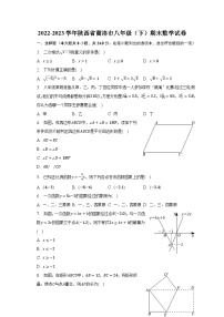 2022-2023学年陕西省商洛市八年级（下）期末数学试卷（含解析）