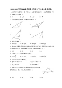 2022-2023学年海南省澄迈县七年级（下）期末数学试卷（含解析）