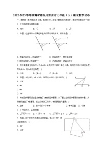 2022-2023学年湖南省湘西州吉首市七年级（下）期末数学试卷（含解析） (1)