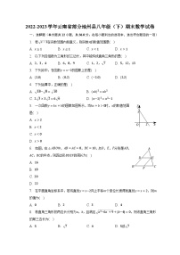 2022-2023学年云南省部分地州县八年级（下）期末数学试卷（含解析）