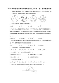 2022-2023学年云南省大理州祥云县八年级（下）期末数学试卷（含解析）