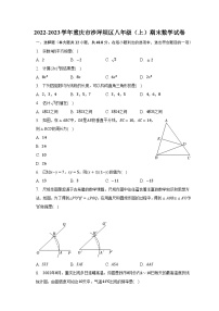 2022-2023学年重庆市沙坪坝区八年级（上）期末数学试卷（含解析）