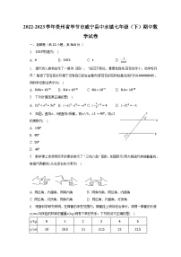 2022-2023学年贵州省毕节市威宁县中水镇七年级（下）期中数学试卷（含解析）