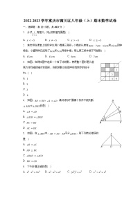 2022-2023学年重庆市南川区八年级（上）期末数学试卷（含解析）