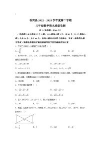 河北省廊坊市香河县2022-2023学年八年级下学期期末质量监测数学试卷(含解析)