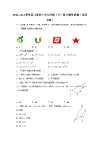 2022-2023学年四川省巴中市七年级（下）期末数学试卷（北师大版）（含解析）