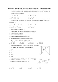 2022-2023学年湖北省黄冈市黄梅县八年级（下）期中数学试卷（含解析）