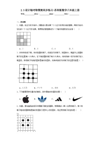 初中2.3 设计轴对称图案练习题