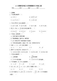 初中数学苏科版八年级上册4.3 实数课时训练