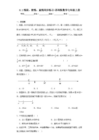 苏科版七年级上册6.1 线段 射线 直线精练