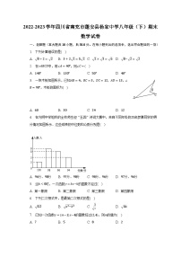 2022-2023学年四川省南充市蓬安县杨家中学八年级（下）期末数学试卷（含解析）