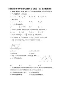 2022-2023学年广西河池市南丹县七年级（下）期末数学试卷（含解析）