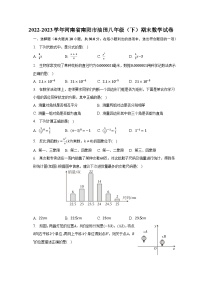 2022-2023学年河南省南阳市油田八年级（下）期末数学试卷（含解析）