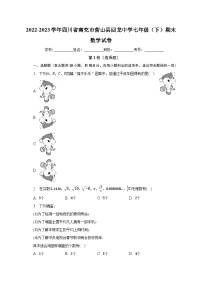 四川省南充市营山县回龙中学2022-2023学年七年级下学期期末数学试卷 （含答案）