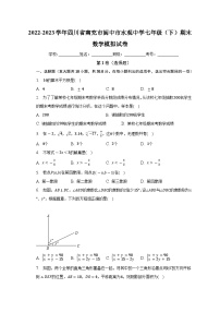 四川省南充市阆中市水观中学2022-2023学年七年级下学期期末数学模拟试卷 （含答案）