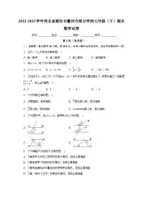 +河北省廊坊市霸州市部分学校2022_2023学年七年级下学期期末+数学试卷