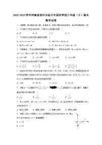 2022-2023学年河南省郑州市经开外国语学校八年级（下）期末数学试卷（含解析）