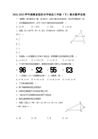 2022-2023学年湖南省岳阳市华容县八年级（下）期末数学试卷-普通用卷