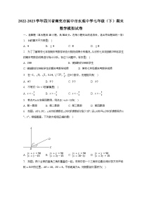 2022-2023学年四川省南充市阆中市水观中学七年级（下）期末数学模拟试卷（含解析）