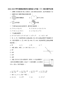 2022-2023学年湖南省株洲市茶陵县七年级（下）期末数学试卷-普通用卷