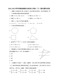 2022-2023学年河南省南阳市油田七年级（下）期末数学试卷（含解析）