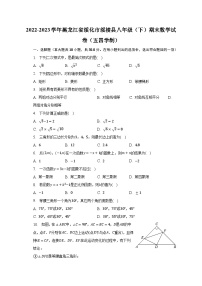 2022-2023学年黑龙江省绥化市绥棱县八年级（下）期末数学试卷（五四学制）（含解析）