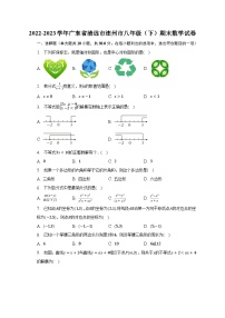 2022-2023学年广东省清远市连州市八年级（下）期末数学试卷（含解析）